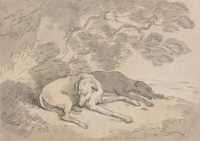 Two Greyhounds Lying under a Tree by Thomas Rowlandson