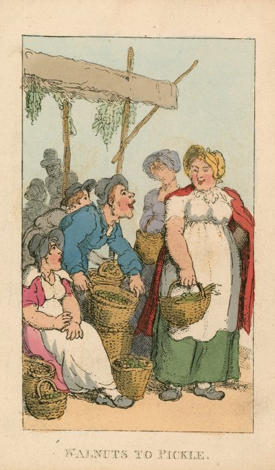 Walnuts to Pickle by Thomas Rowlandson