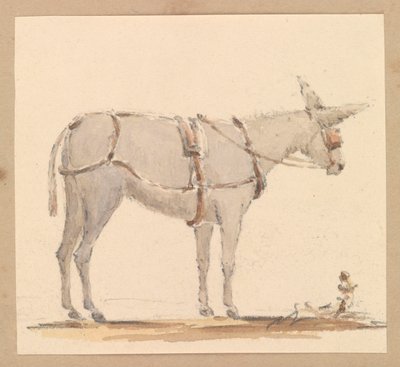 Study of a donkey with a bridle and harness by Thomas Streatfeild