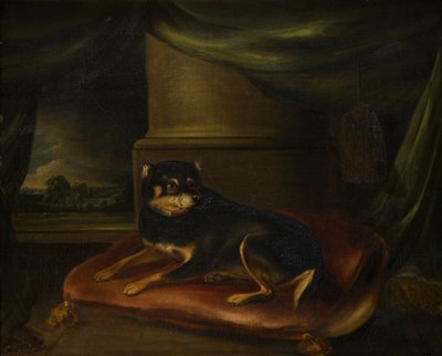 A Favourite Terrier on a Red Cushion by Thomas Weaver