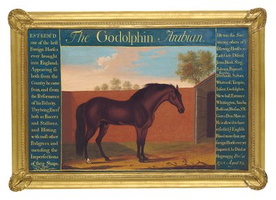 The Godolphin Arabian by Thomas of Pall Mall Butler