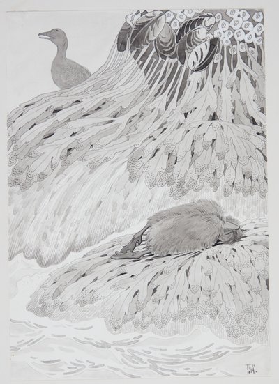 A Eider Duck and a Dead Bird on a Shore by Thorolf Holmboe