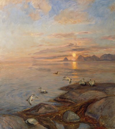 Seabirds in Midnight Sun by Thorolf Holmboe
