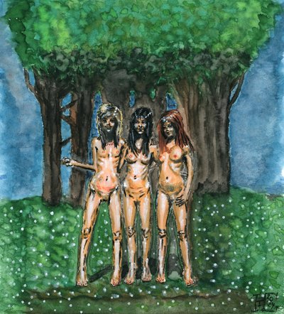 Ethereal Forest Nymphs by Tim Hoinkis