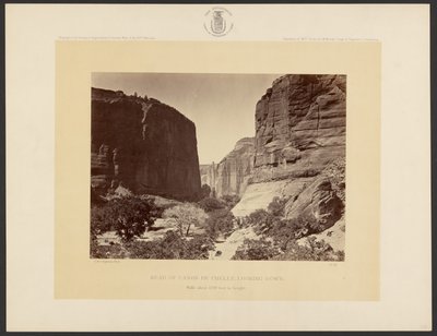 Head of Cañon de Chelle, Looking Down. Walls About 1,200 Feet in Height. by Timothy H. O