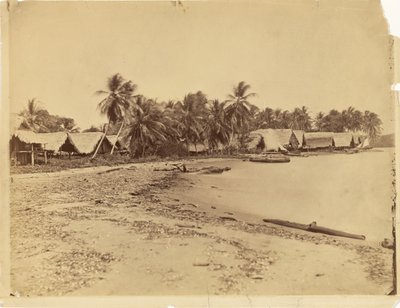 Huts, Palm Trees and Beach, Isthmus of Darién (Panama) by Timothy H. O