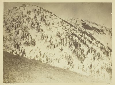 Snow Peaks, Bull Run Mining District, Nevada by Timothy O
