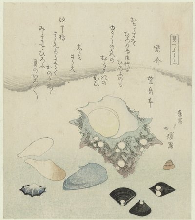 Purple Shell, Freshwater Venus Clams, and a Turban Shell by Totoya Hokkei