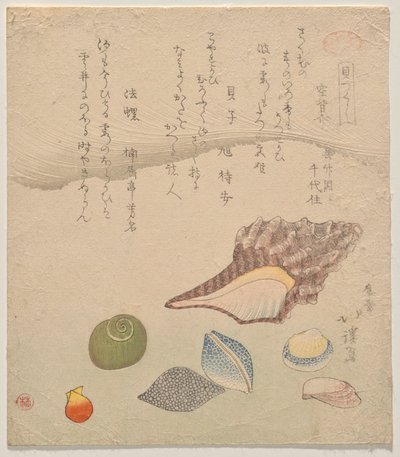 Seven Shells at the Edge of the Sea, from the series Shells Compendium (Kaizukushi) by Totoya Hokkei