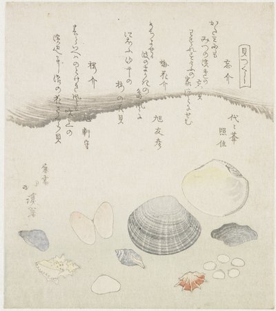 Forgotten Shell, Plum Blossom Shell, and Cherry Shell (A Series of Shells) by Totoya Hokkei