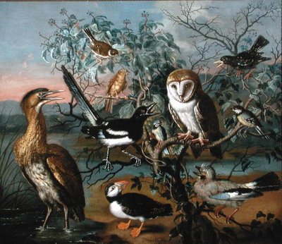 A Concert of Birds: a Puffin, Jay, Great Tit, Bittern, Starling, Magpie, Yellowhammer, Red Bunting and Barn Owl by Trajan Hughes