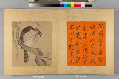 Album of Hawks and Calligraphy by Tsunenobu Kano