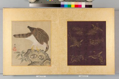Album of Hawks and Calligraphy by Tsunenobu Kano