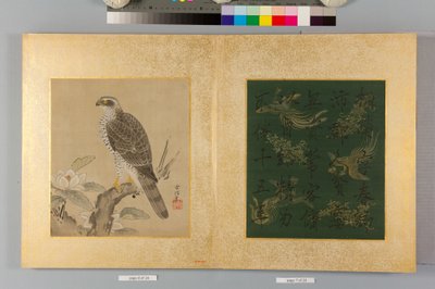 Album of Hawks and Calligraphy by Tsunenobu Kano