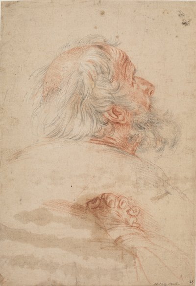 Studies of the Head of an Old Man and Folded Hands by Ubekendt