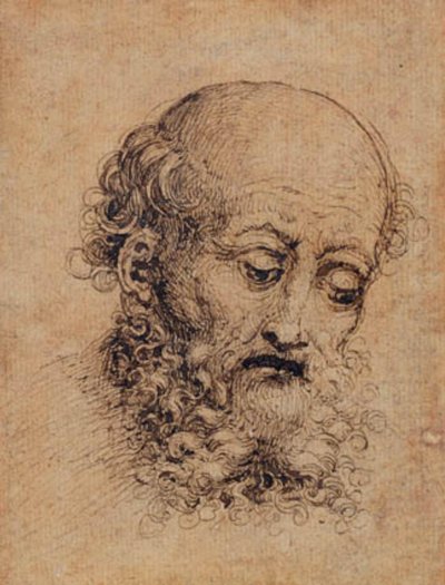 Bearded Man