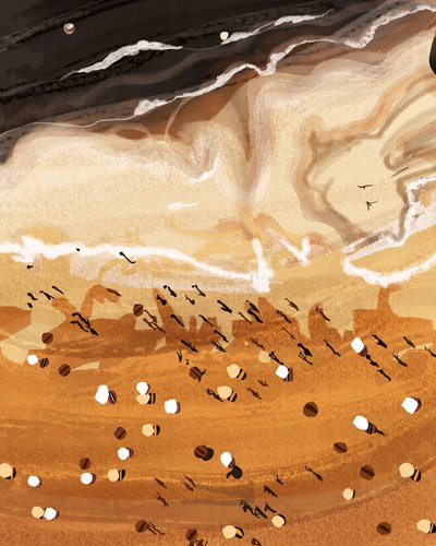 Overhead Beach Life by Uma Gokhale