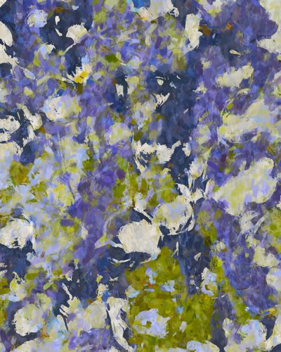 Vibrant Floral Impression by Uma Gokhale