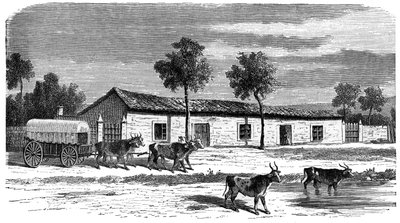 A Boer farm, South Africa by Unbekannt
