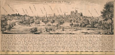 A View of the City of York by Unbekannt
