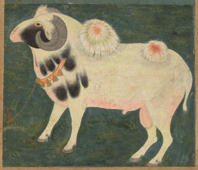 A Royal Ram with a Gold Chain by Unbekannt