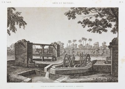 Animal Power Wheel and bucket irrigation system, Egypt, c.1798 by Unbekannt
