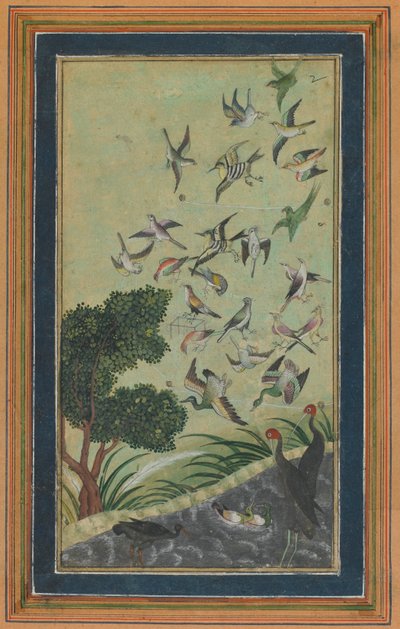 Birds at Baran, possibly from the Babur-nama by Unbekannt