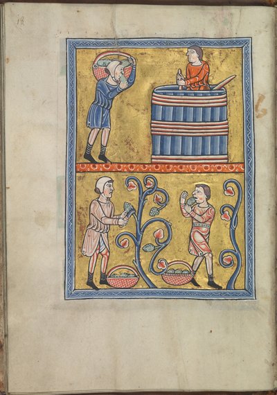 Calendar, September, men picking and treading grapes - Psalter of Eleanor of Aquitaine (ca. 1185) - KB 76 F 13, folium 009v by Unbekannt