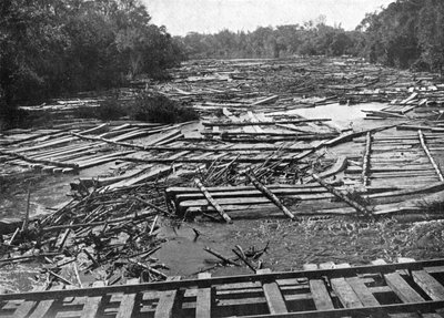 Cedar logs on the Tebicuary-Guazu River floating by the railway bridge, Paraguay, 1911 by Unbekannt