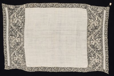 Cloth with Border of Vegetal Pattern by Unbekannt