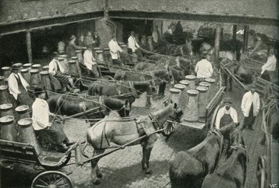 Delivery Vans Starting from Messrs, Freeth and Pocock