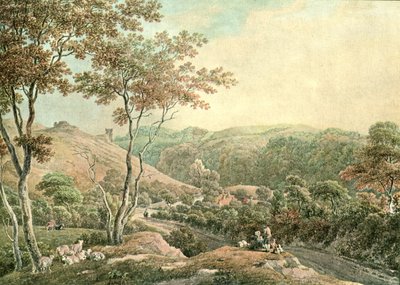 Drusllwyn Castle, Caermarthenshire, c1900 by Unbekannt