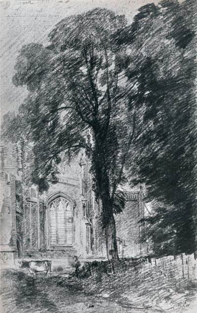 East Bergholt Church: part of the west end seen beyond a group of elms by Unbekannt