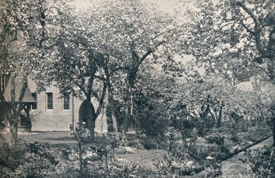 Example of orchard garden, originally laid out by William Morris by Unbekannt