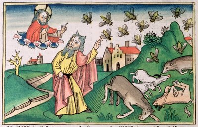 Moses and the Swarm of Flies, One of the Seven Plagues of Egypt by Unbekannt
