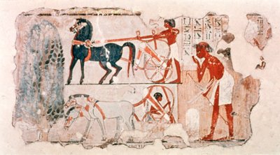 Fragment of Ancient Egyptian painted plaster depicting the account of the harvest, c1400 BC by Unbekannt
