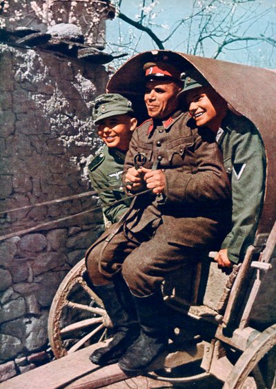German alpine troops in a cart with a Bulgarian soldier, Struma Valley, Bulgaria by Unbekannt