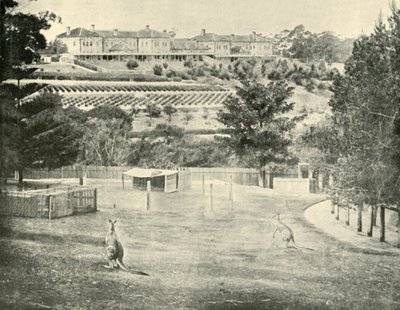 Gladesville Asylum for the Insane, New South Wales, 1901 by Unbekannt