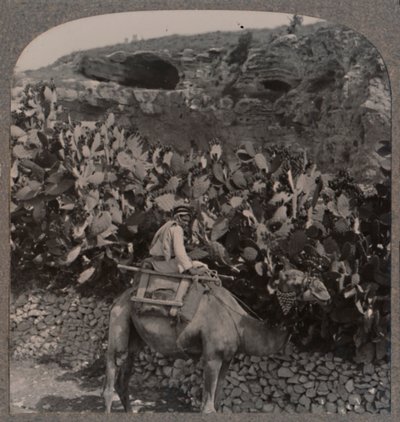 Golgotha The Place of the Skull, c1900 by Unbekannt