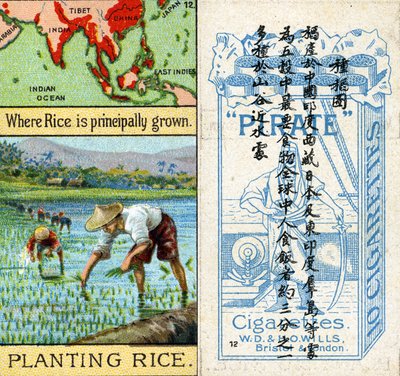 Growing and Planting Rice, from the series of 