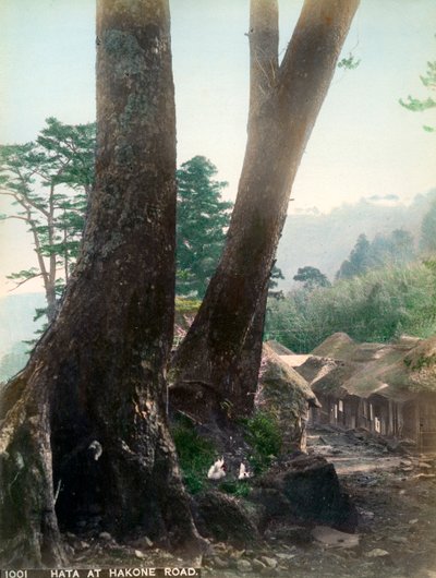 Hata at Hakone Road, Japan by Unbekannt
