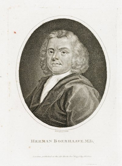 Herman Boerhaave, Dutch Physician, Chemist and Botanist, Early 18th Century by Unbekannt