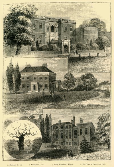 Houses Round Greenwich Park by Unbekannt