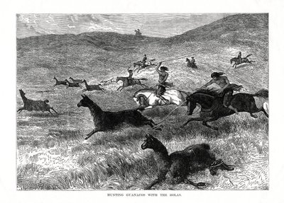 Hunting Guanacos with the Bolas, South America by Unbekannt