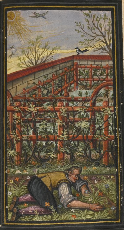Illustration for The Wonderful Summer Time of Eternal Life by Jacob Zader by Unbekannt