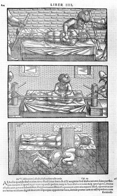 Illustration from Liber Canonis de Medicinis Cordialibus by Avicenna by Unbekannt