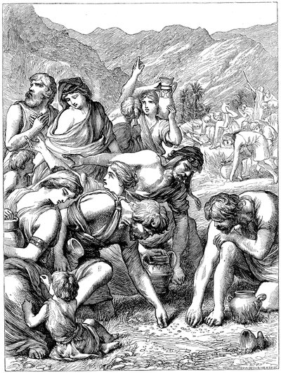 Israelites in the wilderness collecting the manna that fell from Heaven by Unbekannt