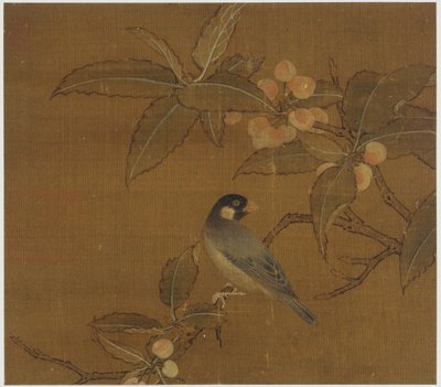 Java Sparrow on a Berry Branch by Unbekannt