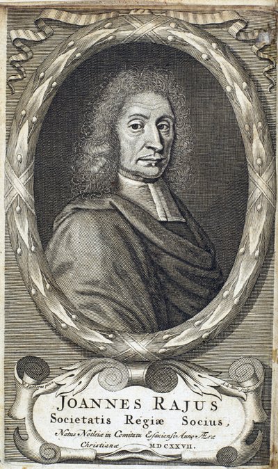 John Ray (Wray), English Naturalist, c. 1700 by Unbekannt
