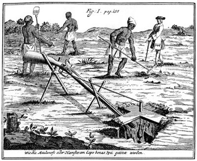 Khoikhois catching moles, South Africa, 18th century 1931 by Unbekannt